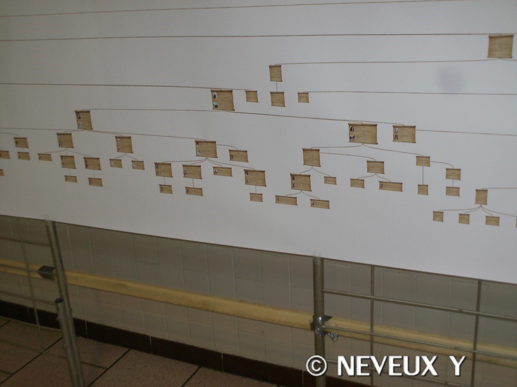 vue details